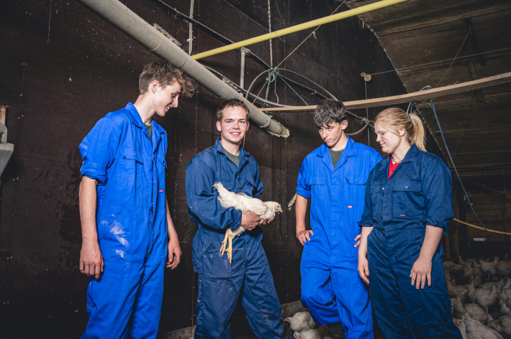 Kom werken bij het team van Vacature Template